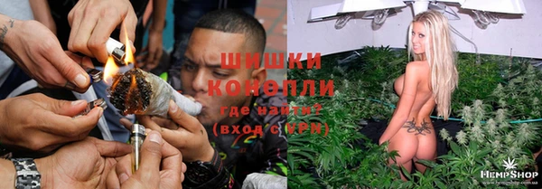 дживик Аркадак